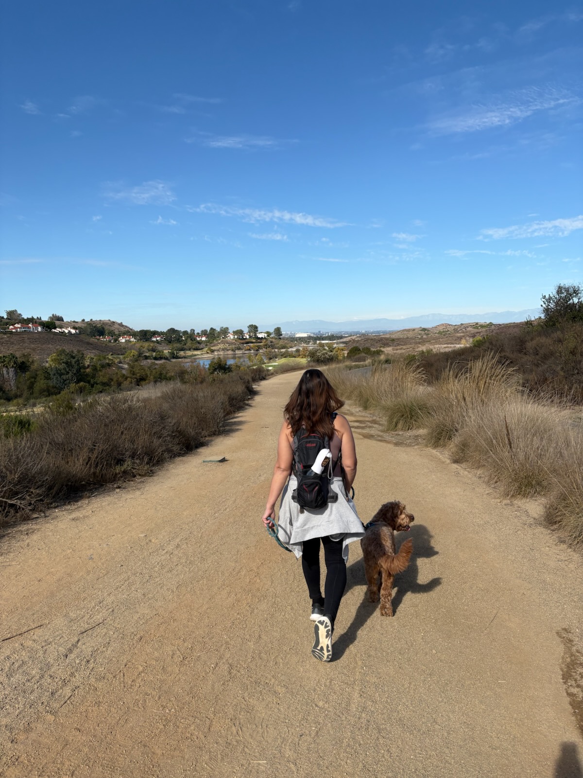 health benefits of hiking